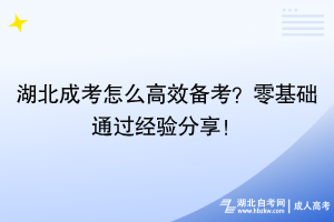 湖北成考怎么高效备考？零基础通过经验分享！