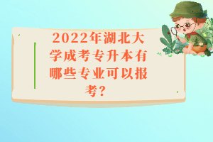 2022年湖北大学成考专升本有哪些专业可以报考？