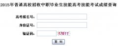 2015年湖北普通高校招收中职毕业生技能高考技能考试成绩查询入口