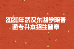 2020年武汉东湖学院普通专升本招生简章