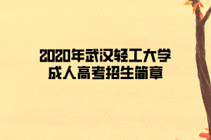 2020年武汉轻工大学成人高考招生简章