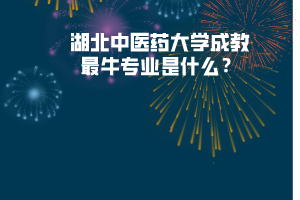 湖北中医药大学成教最牛专业是什么