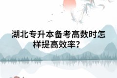 湖北专升本备考高数时怎样提高效率？