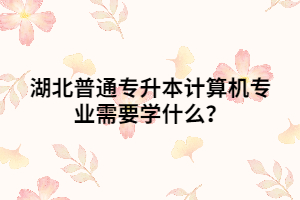 湖北普通专升本计算机专业需要学什么？