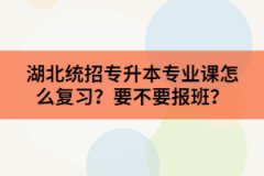 湖北统招专升本专业课怎么复习？要不要报班？