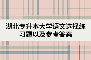 湖北专升本大学语文选择练习题以及参考答案