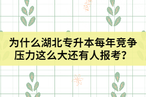 为什么湖北普通专升本每年竞争压力这么大还有人报考？