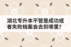 湖北专升本成功或者失败后档案会去到哪里？