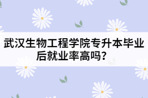 武汉生物工程学院专升本毕业后就业率高吗？