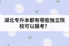 湖北专升本都有哪些独立院校可以报考？