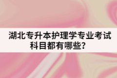 江汉大学专升本计算机科目该怎样复习？