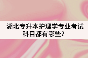 湖北师范大学专升本学前教育专业该怎样复习？