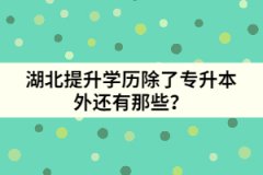 湖北提升学历除了专升本外还有那些？