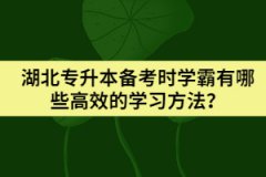 为什么建议湖北专科应届生报考专升本？