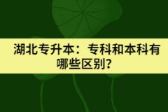 湖北专升本：专科和本科有哪些区别？