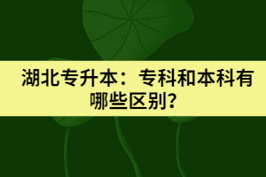 湖北专升本：专科和本科有哪些区别？