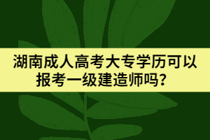 湖南成人高考大专学历可以报考一级建造师吗？