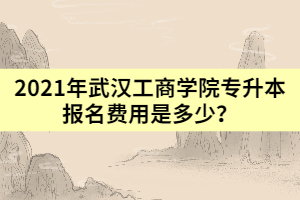 2021年武汉工商学院专升本报名费用是多少？