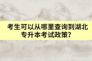 考生可以从哪里查询到湖北专升本考试政策？