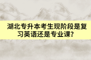 湖北专升本考生现阶段是复习英语还是专业课？