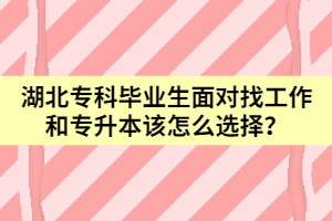 湖北专科毕业生面对找工作和专升本该怎么选择？