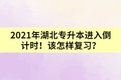 2021年湖北专升本进入倒计时！该怎样复习？