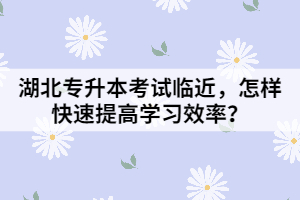 湖北专升本考试临近，怎样快速提高学习效率？