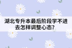 湖北专升本最后阶段学不进去怎样调整心态？