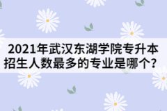 2021年武汉东湖学院专升本招生人数最多的专业是哪个？