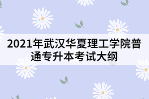 2021年武汉华夏理工学院普通专升本《电子商务基础》考试大纲