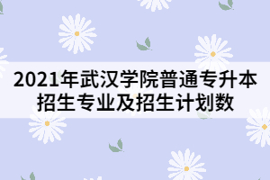 2021年武汉学院普通专升本招生专业及招生计划数