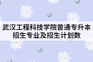 2021年武汉工程科技学院普通专升本招生专业及招生计划数