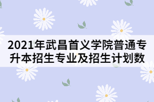 2021年武昌首义学院普通专升本招生专业及招生计划数