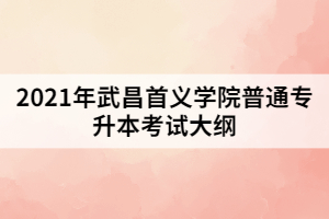 2021年武昌首义学院普通专升本《市场营销学》考试大纲