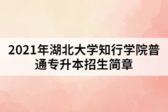 2021年湖北大学知行学院普通专升本招生简章