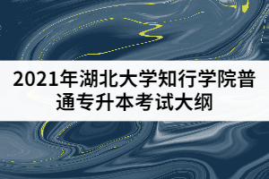 2021年湖北大学知行学院普通专升本《现代物流概论》考试大纲