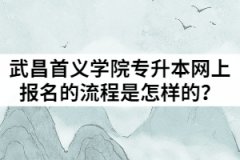 2021年武昌首义学院普通专升本网上报名的流程是怎样的？