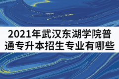 2021年武汉东湖学院普通专升本招生专业有哪些？