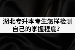 面临湖北专升本考试，考生怎样检测自己的掌握程度？