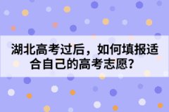 湖北高考过后，如何填报适合自己的高考志愿？