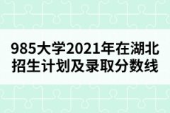 985大学2021年在湖北招生计划及录取分数线