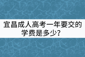 宜昌成人高考一年要交的学费是多少？