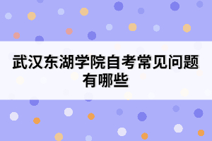 武漢東湖學院自考常見問題有哪些