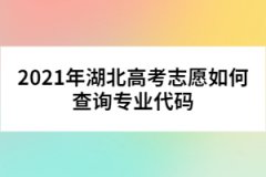 2021年湖北高考志愿如何查询专业代码