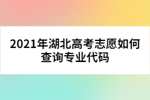 2021年湖北高考志愿如何查询专业代码