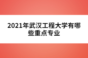 2021年武汉工程大学有哪些重点专业