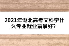 2021年湖北高考文科学什么专业就业前景好？