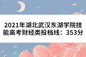 2021年湖北武汉东湖学院技能高考财经类投档线：353分