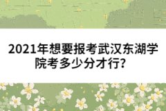 2021年想要报考武汉东湖学院考多少分才行？