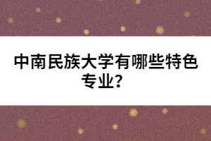 中南民族大学有哪些特色专业？